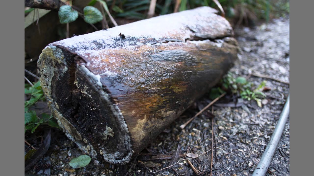 Fujifilm XA1 & XE1 Review