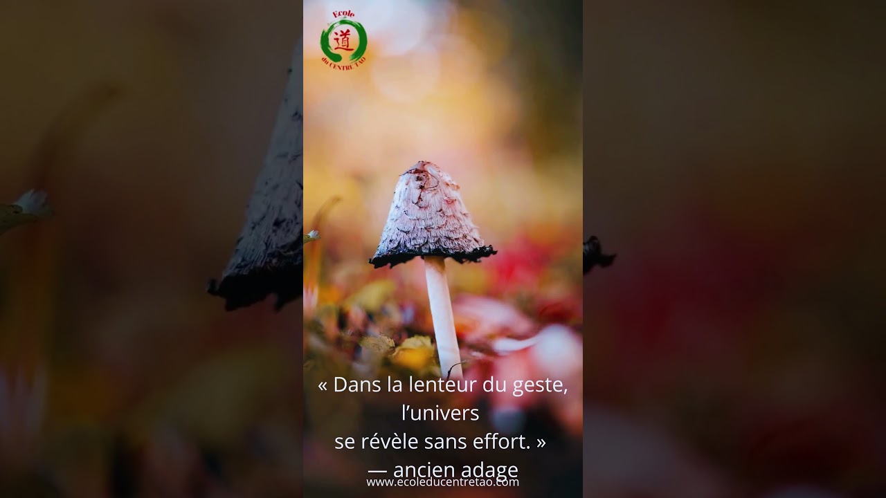 La Lenteur du Geste 
