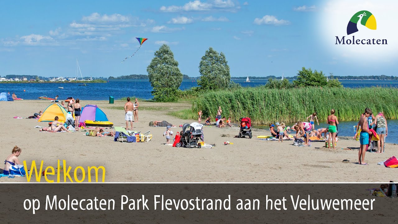 Welkom op Molecaten Park Flevostrand, aan het Veluwemeer, tegenover Harderwijk