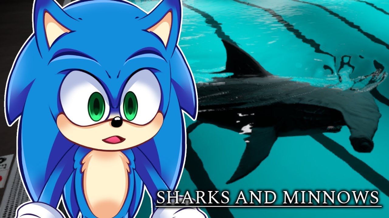 Movie Sonic Plays Sharks and Minnows!!