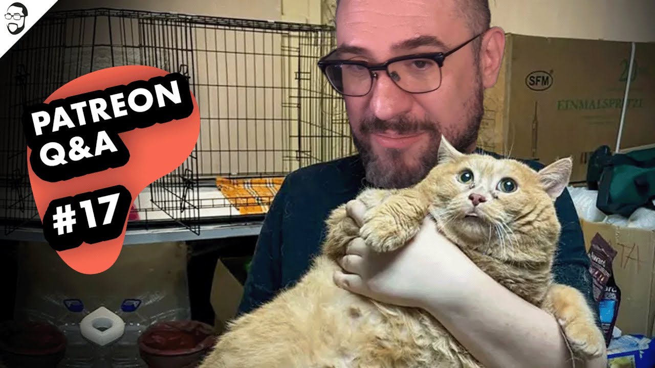 Patreon Q&A For September And October 2024