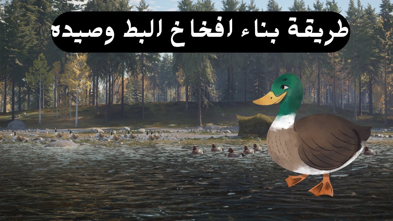 theHunter |  طريقة وضع افخاخ البط