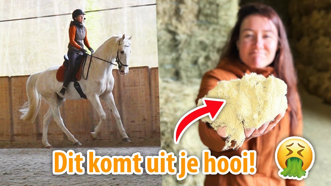 DIT komt uit je HOOI 🤮 & meekijken met MOEILIJK punt in onze training!