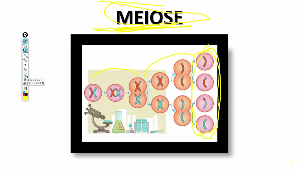 Lewenswetenskappe GR12 Meiose Les1