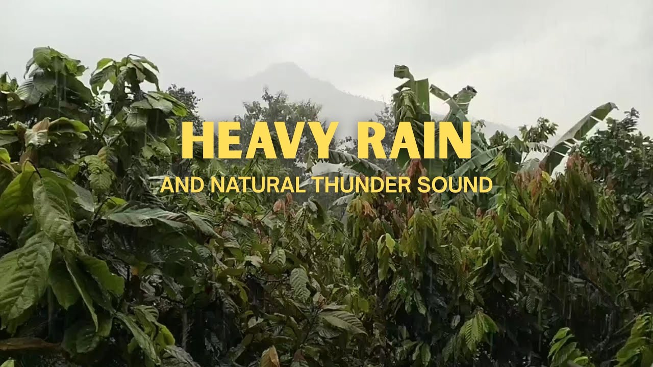 Relaxing Rainstorm with Thunder | Sleep & Relax