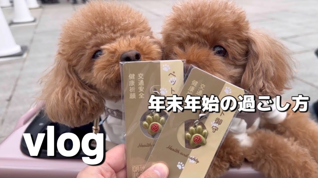 【vlog】年末年始！まったりのんびり過ごして今年も元気に過ごそう