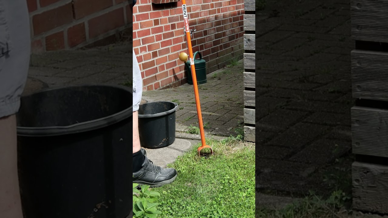 DIY Gartentor #holzbearbeitung #holzwerken #wirliebenholz