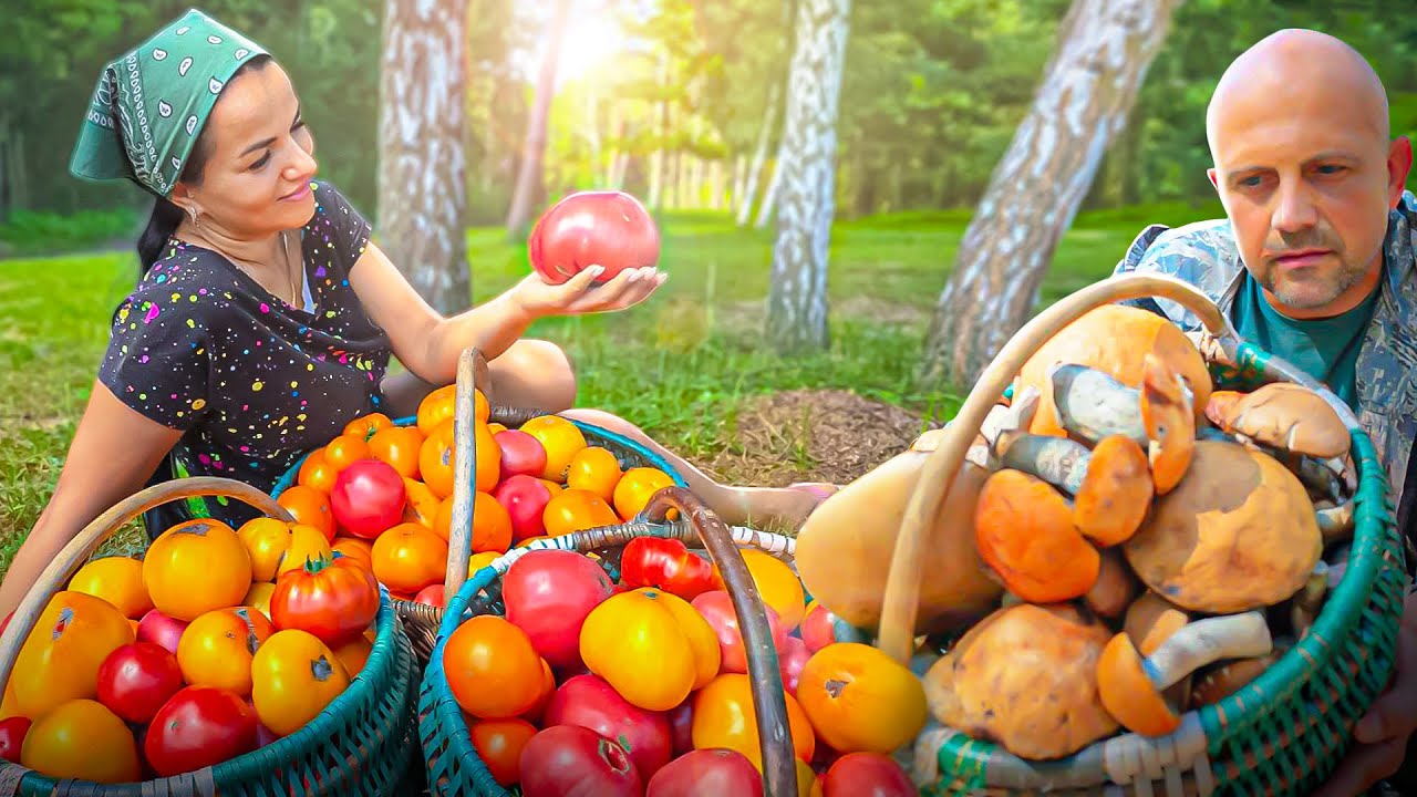Harvesting FRESH TOMATOES & WILD MUSHROOMS! 🍅🍄 Village Style Preserving for Winter