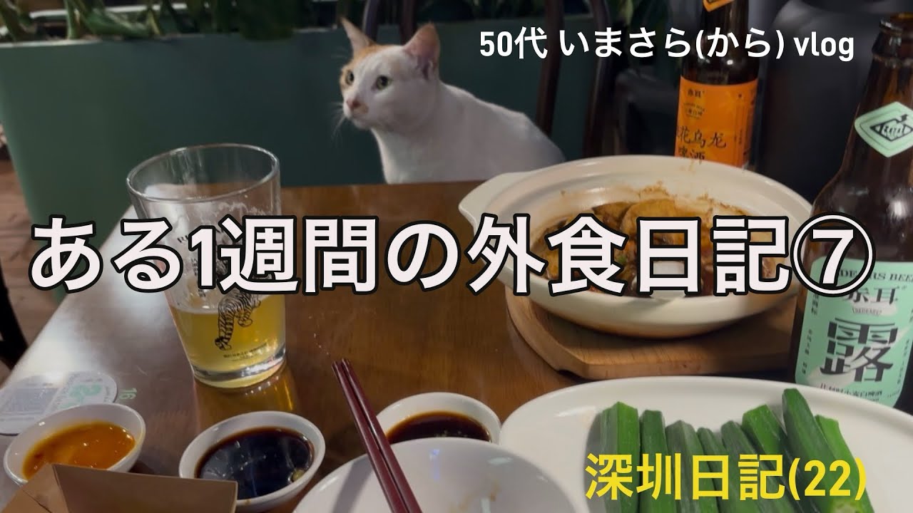 深圳日記(22) 50代いまさら(から)vlog ある1週間の外食日記⑦