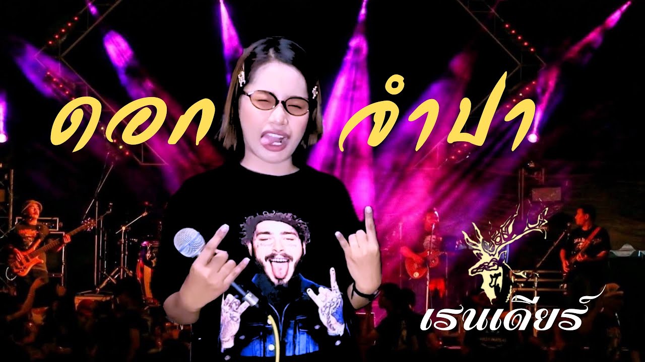ดอกจำปา  - เมล ตวิษา x ตุ๊กตา นริศรา : เรนเดียร์