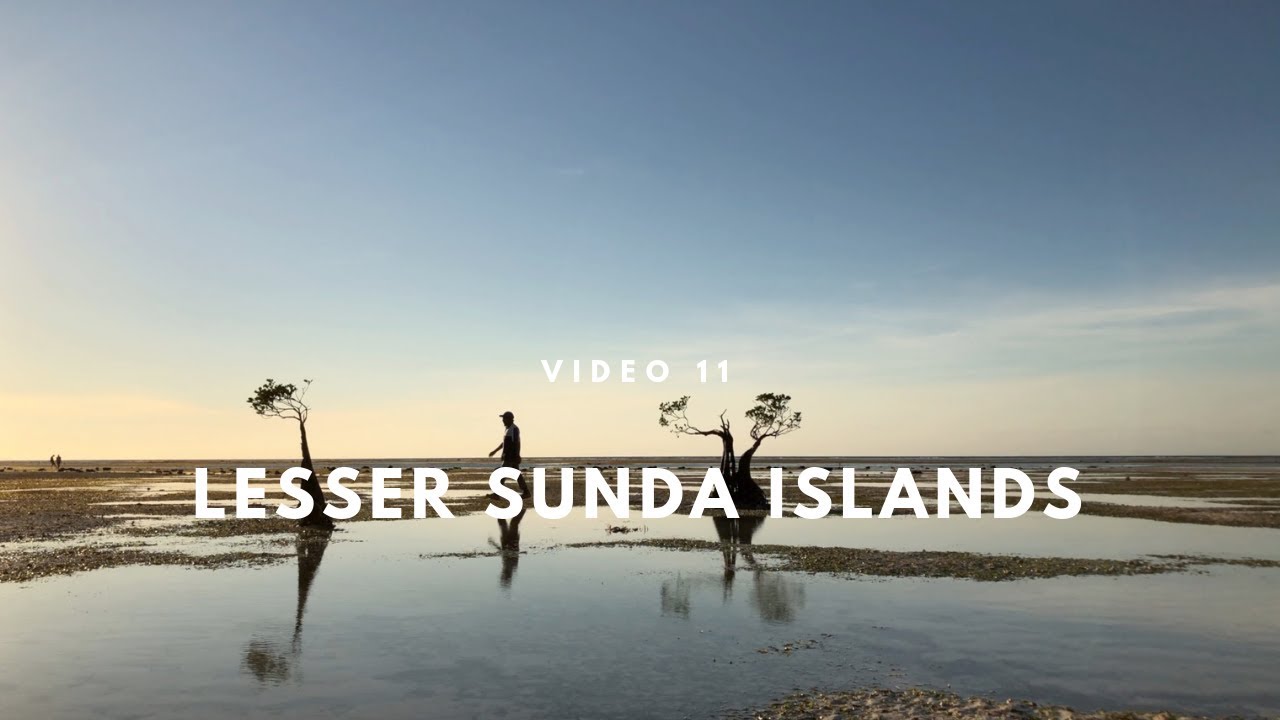 Lesser Sunda Islands 11 | Indonesia travel
