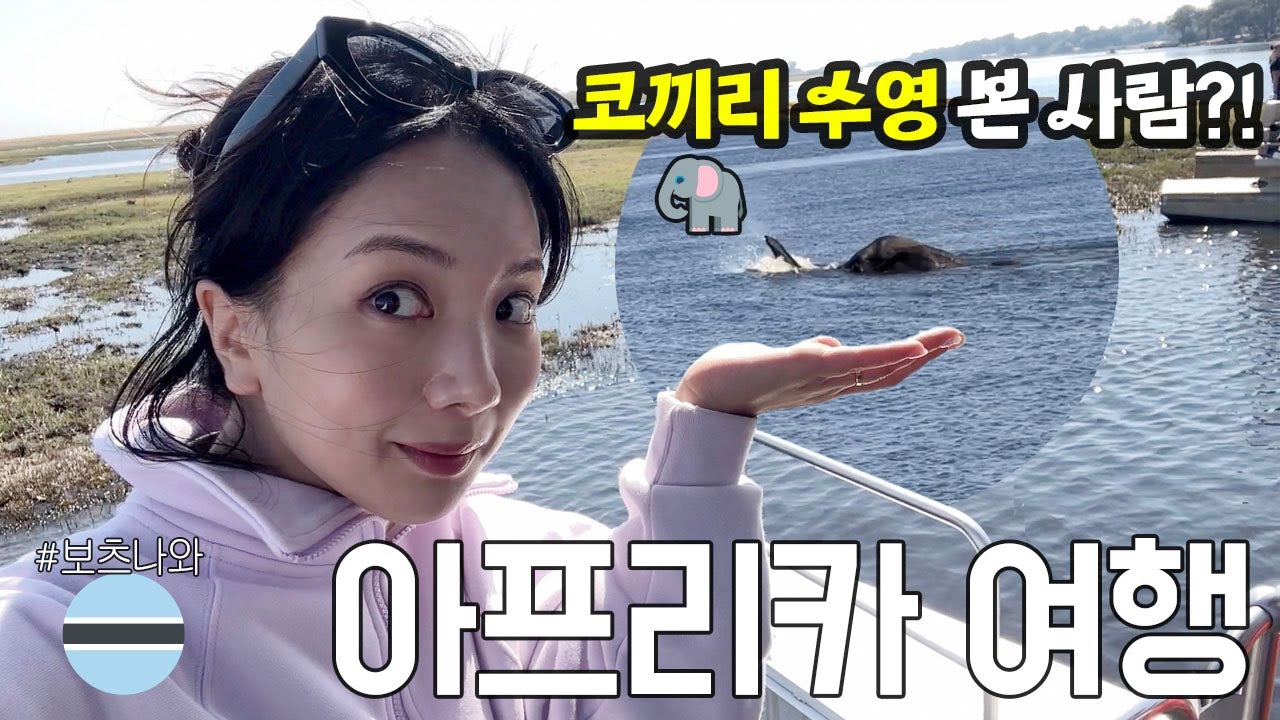 아프리카#5 길냥이🐈 대신 코끼리🐘가 다니는 아프리카★ 품바도 만나고 라이온킹 선셋도 보고🧡 보츠와나 여행🇧🇼