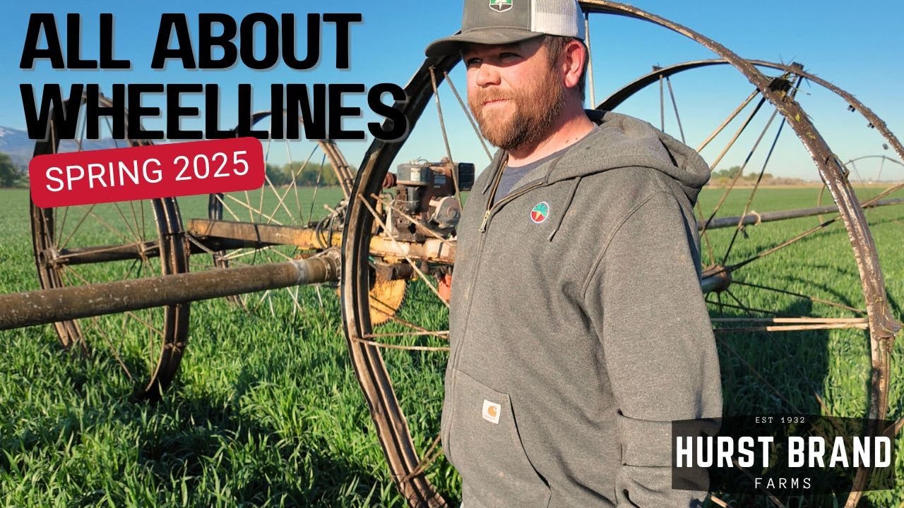 How We Irrigate Crops in the Idaho Desert | Wheel-Line Farming Explained