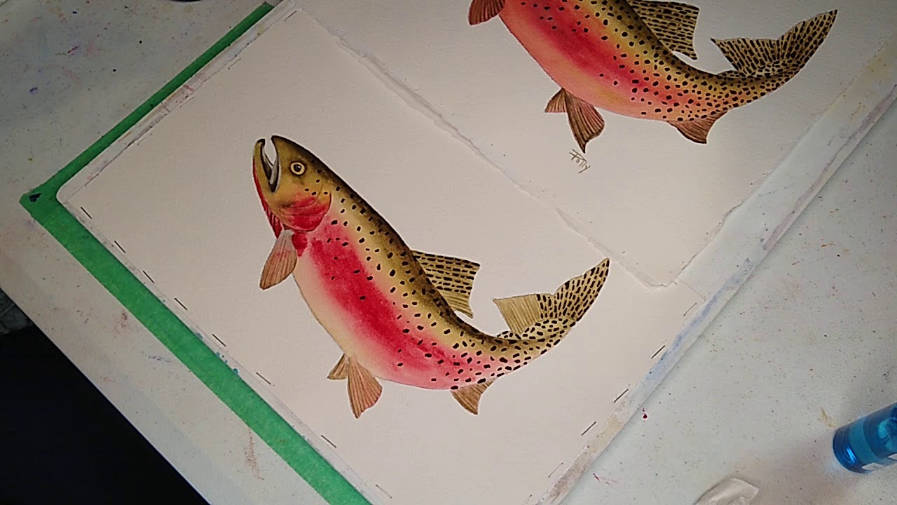 Watercolor Cutthroat Trout - Lesson 6 - Apply Spots on Fish And Finish