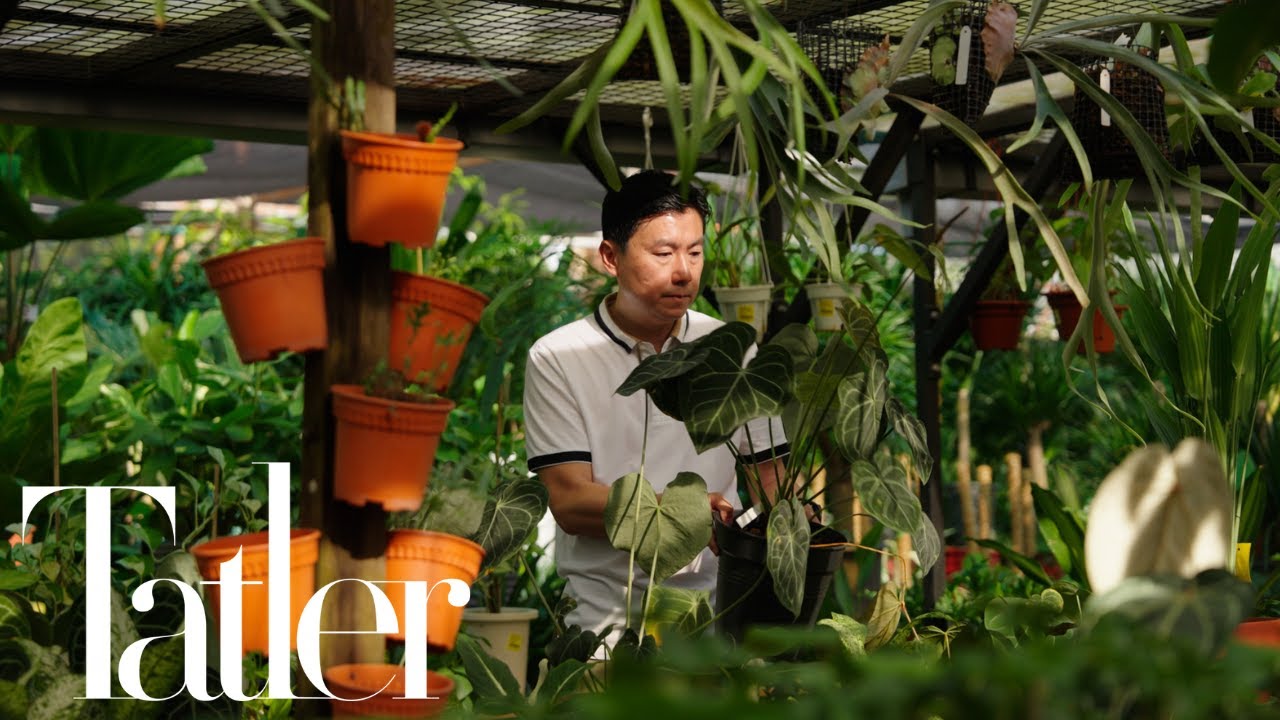 Legacy Building: Far East Flora