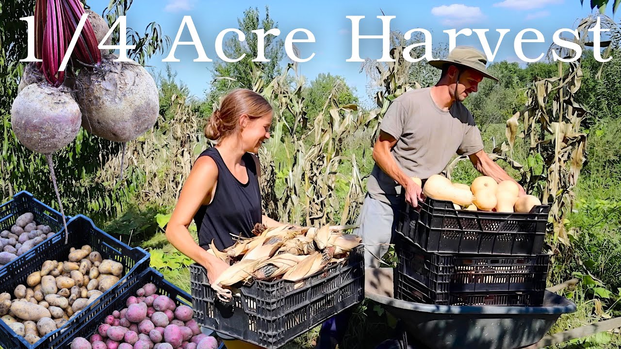 Storage Crops to Feed our Family ALL YEAR!