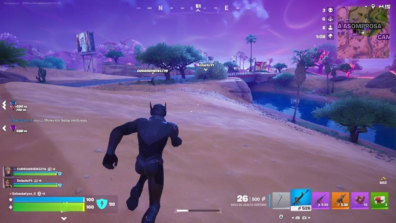 Fortnite Victoria con Sela y el Toto
