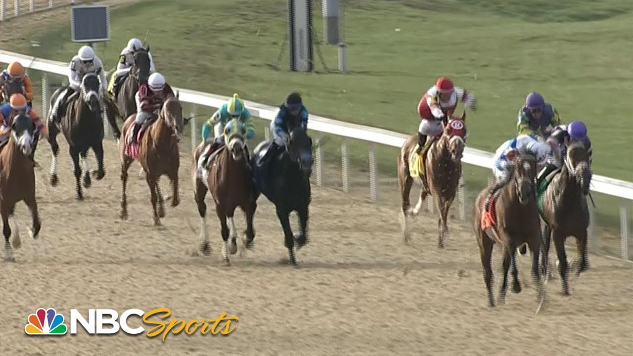 2022 Jeff Ruby Steaks (FULL RACE) | NBC Sports