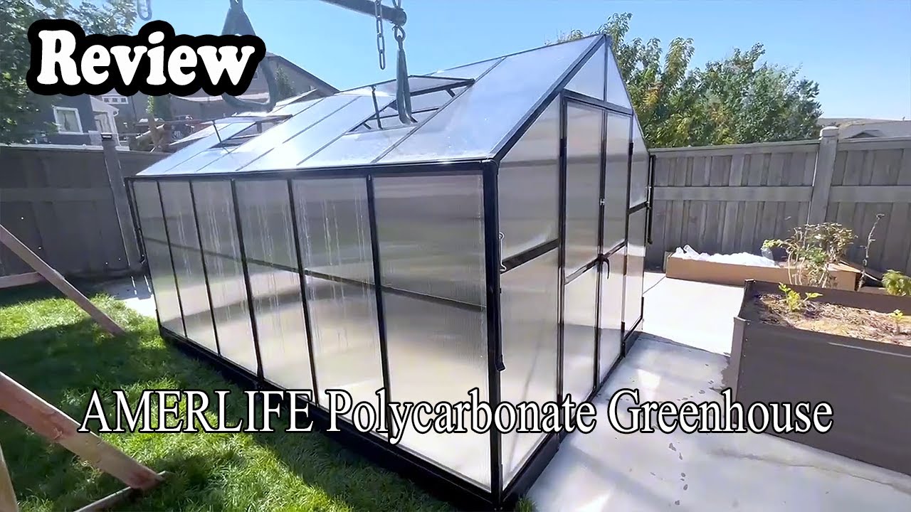 AMERLIFE Polycarbonate Greenhouse Review | Preview Before You Buy!