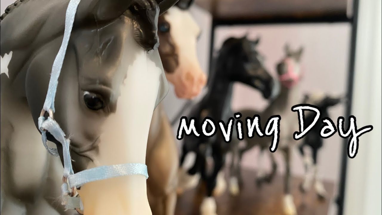 Moving Day for the Breyers!