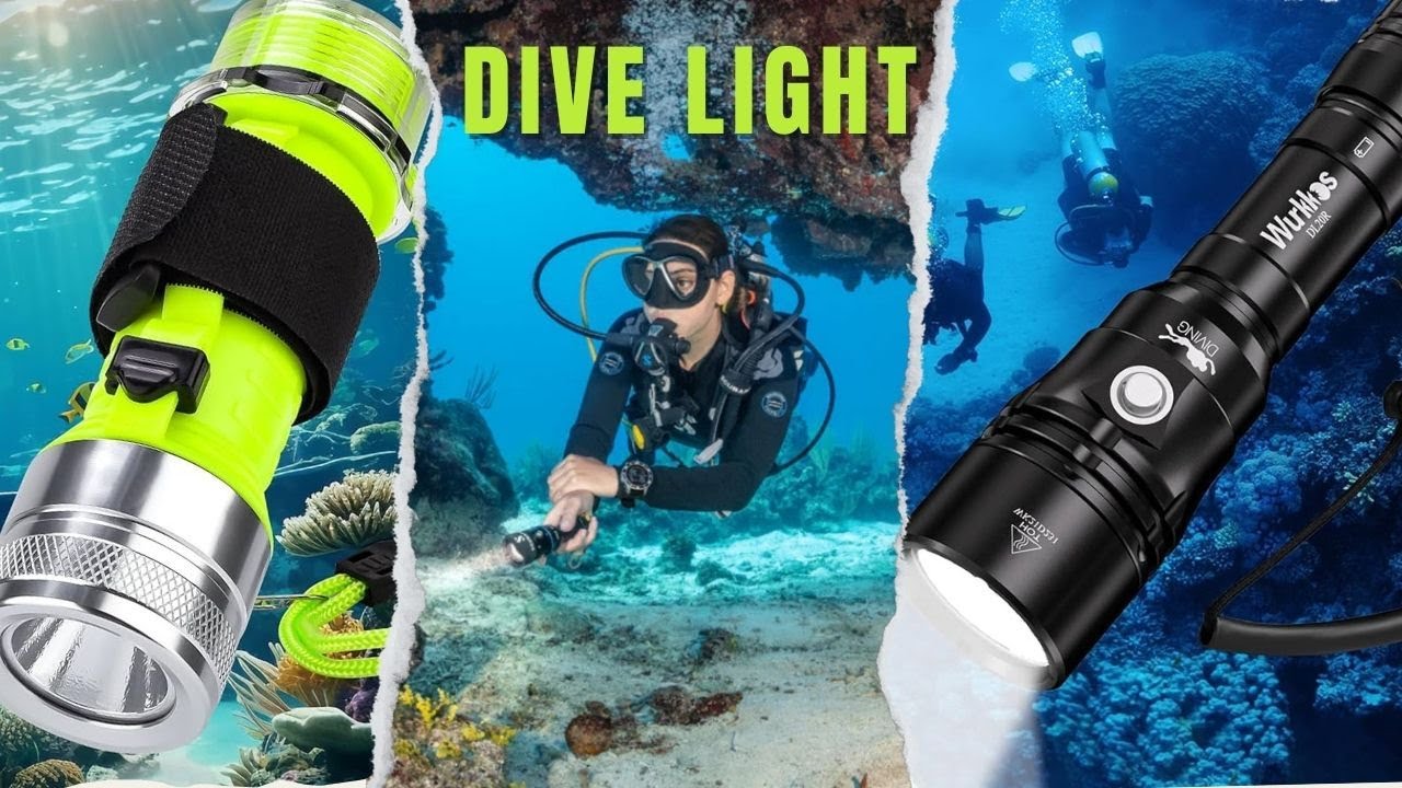 7 BEST Dive Lights of 2025 You Need to Know