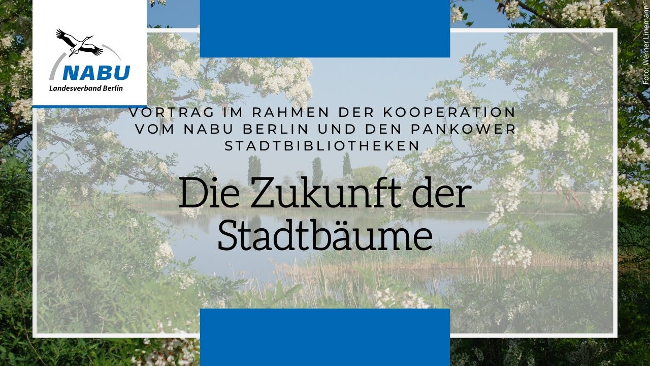 Die Zukunft unserer Stadtbäume