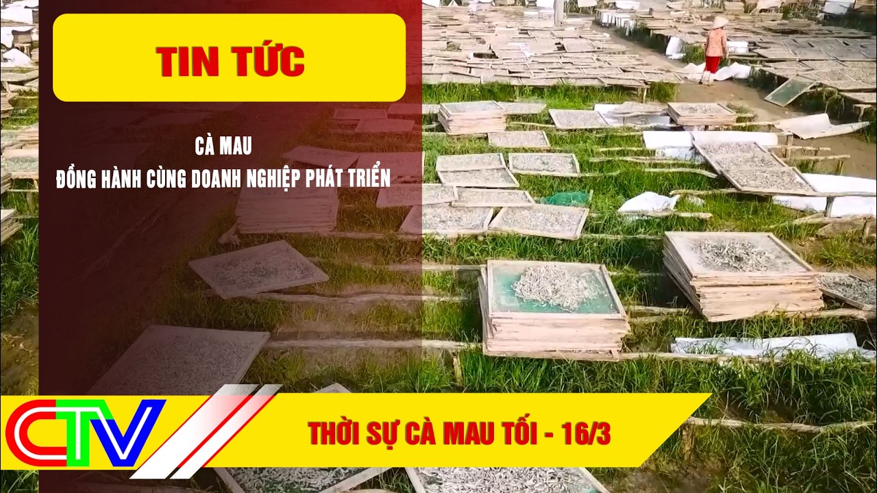 THỜI SỰ CÀ MAU TỐI 16-3-2026 | CÀ MAU ĐỒNG HÀNH CÙNG DOANH NGHIỆP PHÁT TRIỂN
