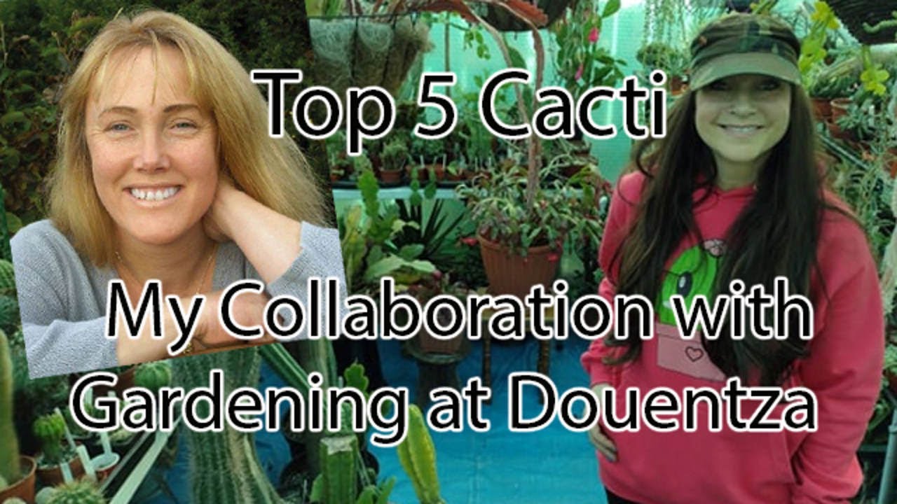 My Top 5 Cacti | Collaboration with @GardeningatDouentza