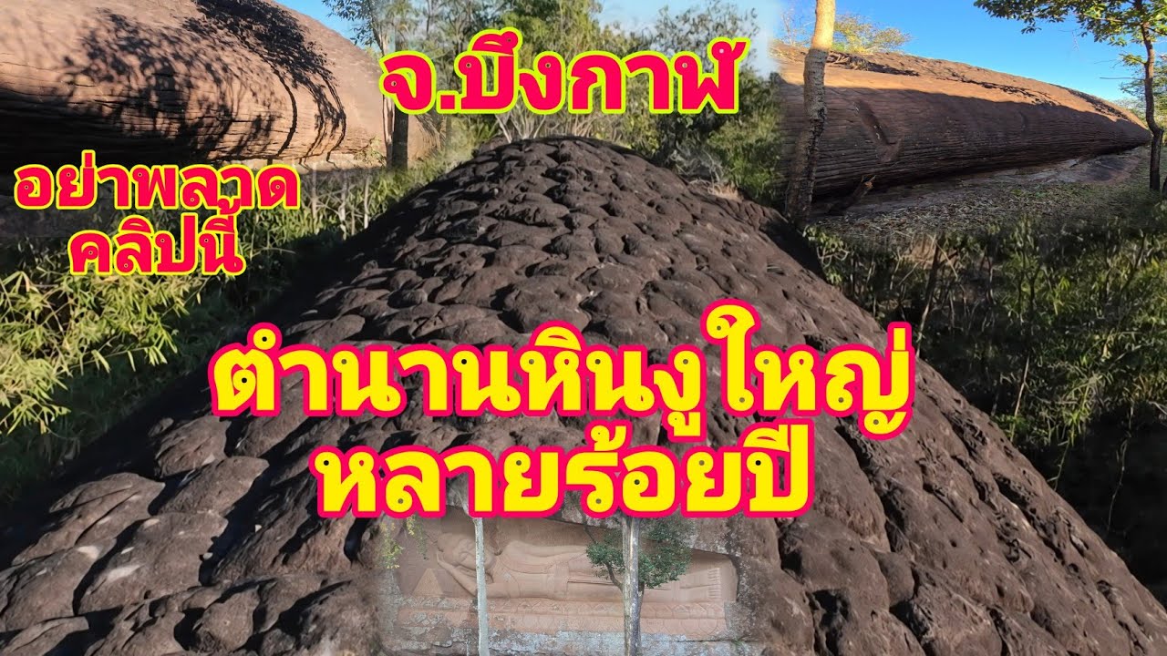 ตำนานหินพญานาคหรือหินงูใหญ่ที่ภูสิงห์จังหวัดบึงกาฬ #หินงูใหญ่ #ภูสิงห์ #บึงกาฬ #nature @channel9795 