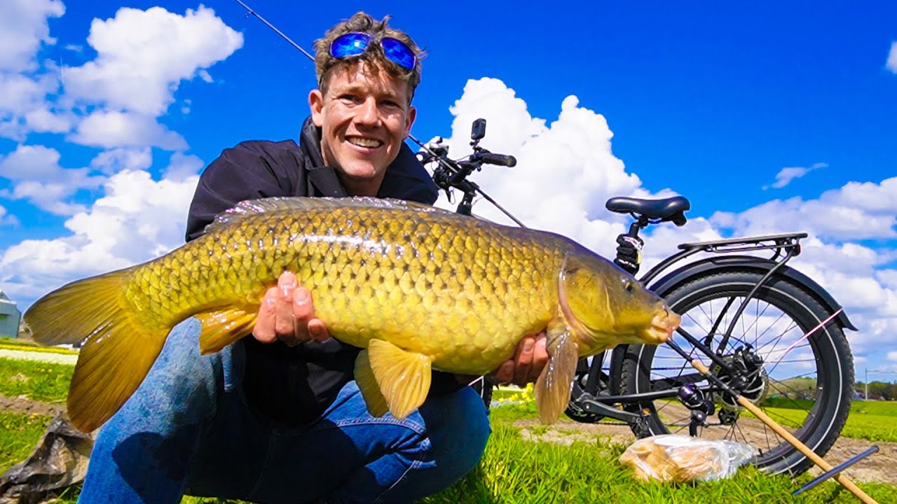 DIKKE POLDER KARPERS VANGEN MET DE FIETS!!