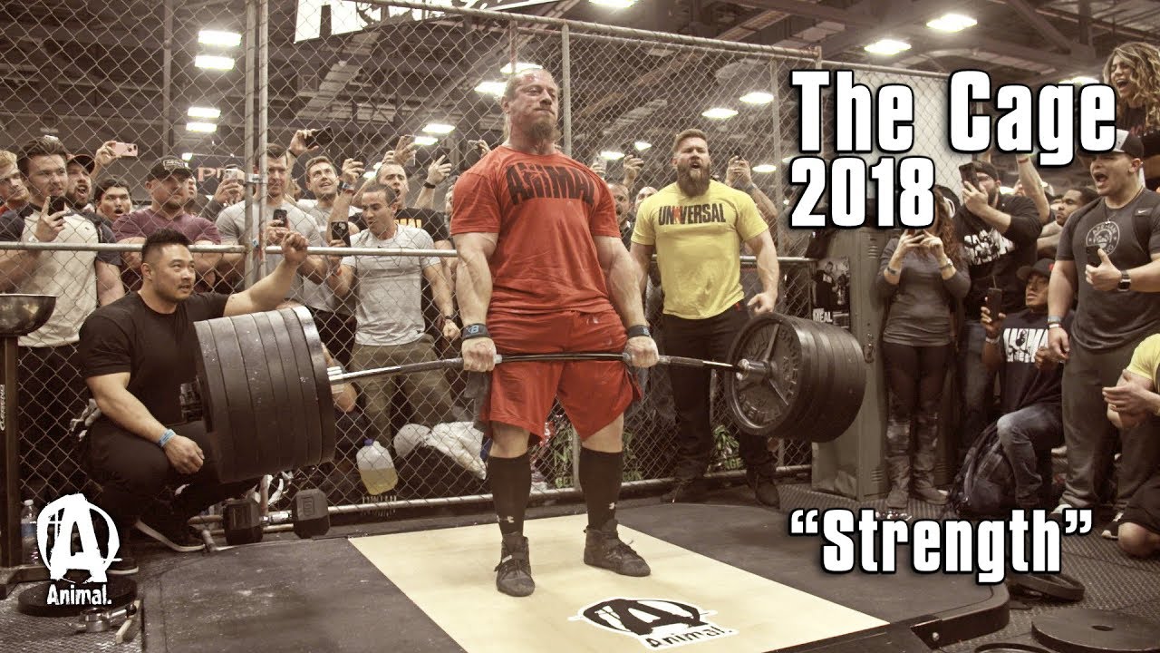 The Cage 2018 | 