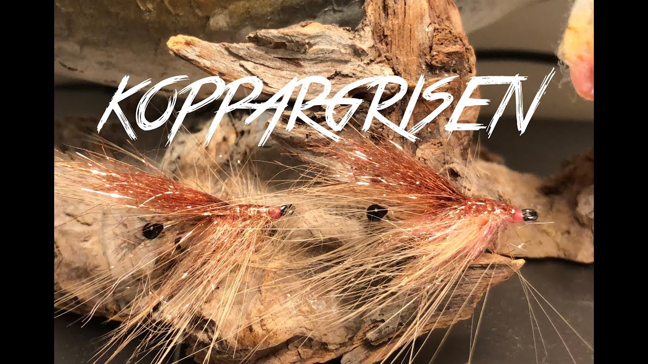 flugbindning (Koppargrisen)