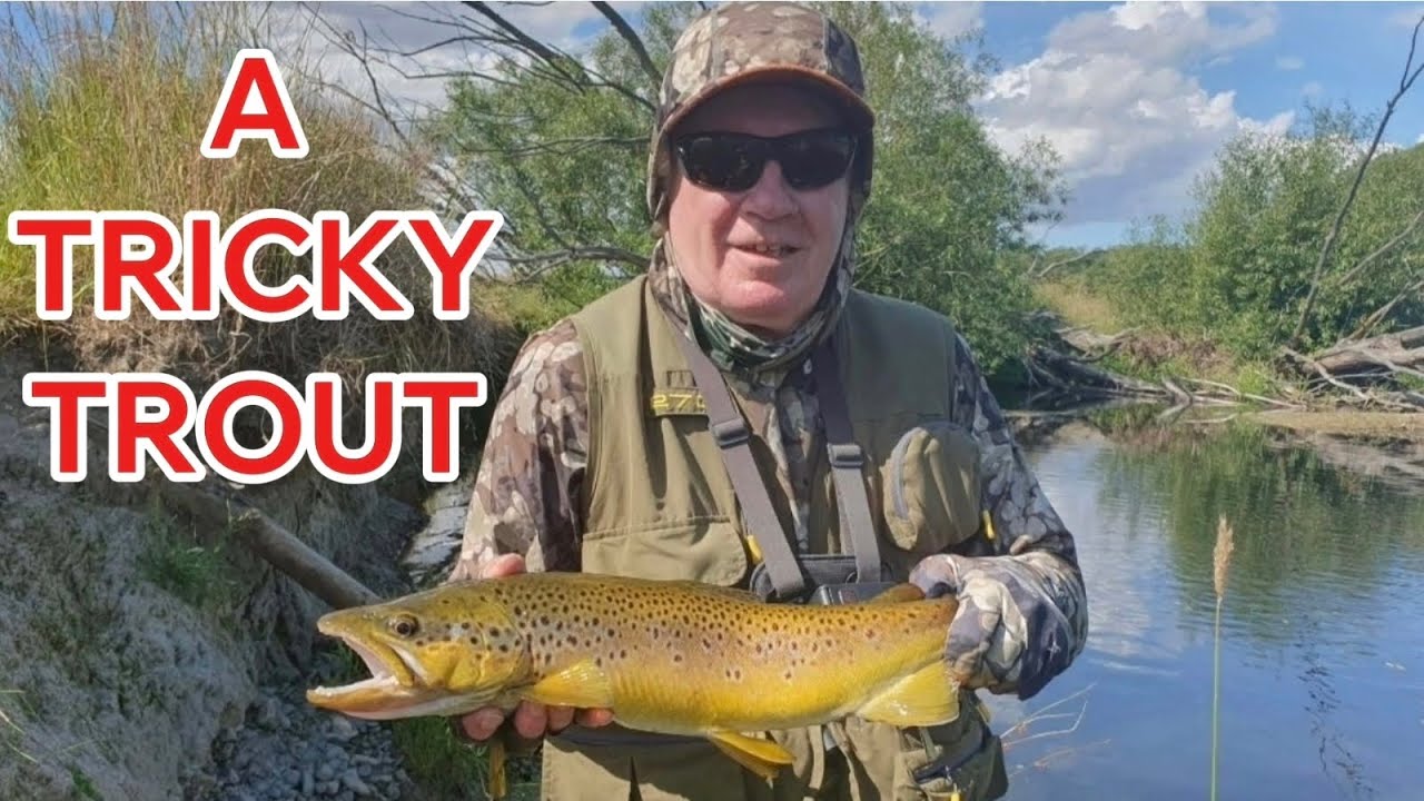 A TRICKY TROUT