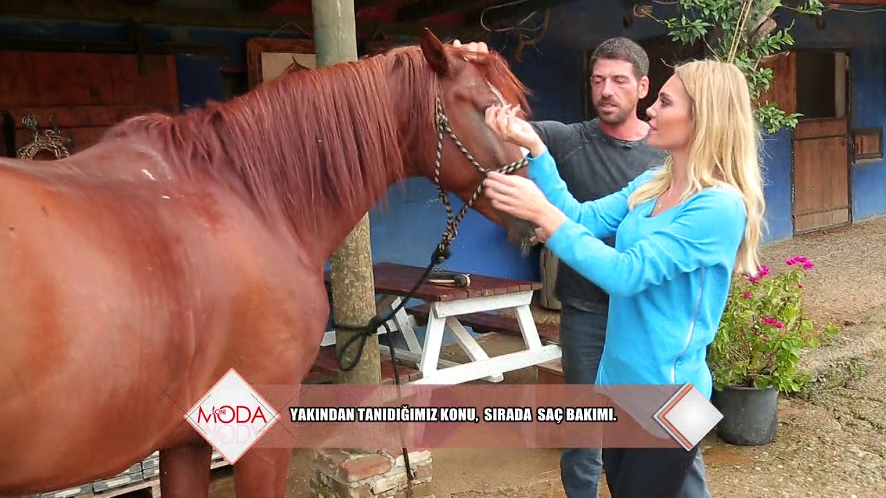 Issız Adam Cemal Hünal'ın at çiftliği görenleri büyülüyor