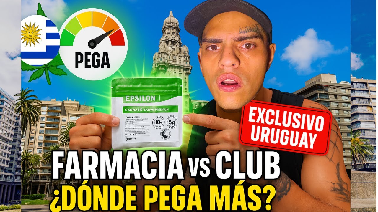 &iexcl;NO LO POD&Iacute;A CREER! As&iacute; venden cannabis en Uruguay