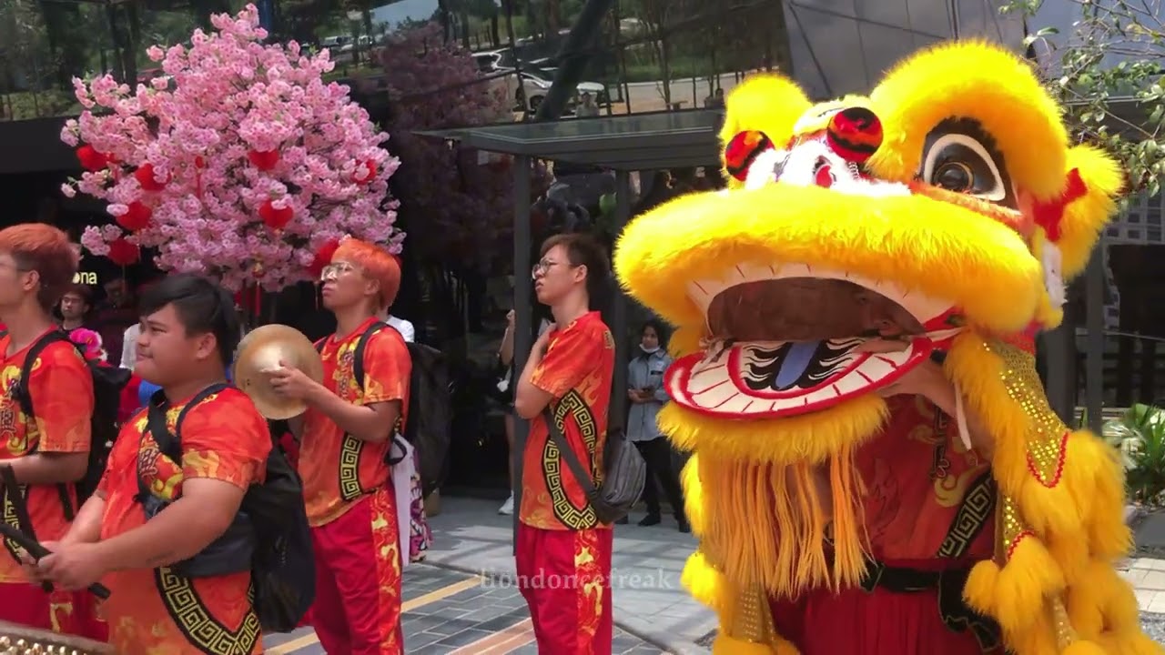 CNY 2025 - Acrobatic Lion Dance by Kok Hing 甲洞國興龍獅團 at IJM Pantai Sentral Park