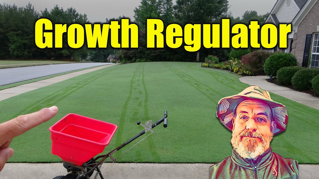 Growth Regulator for Lawns - FAST Application