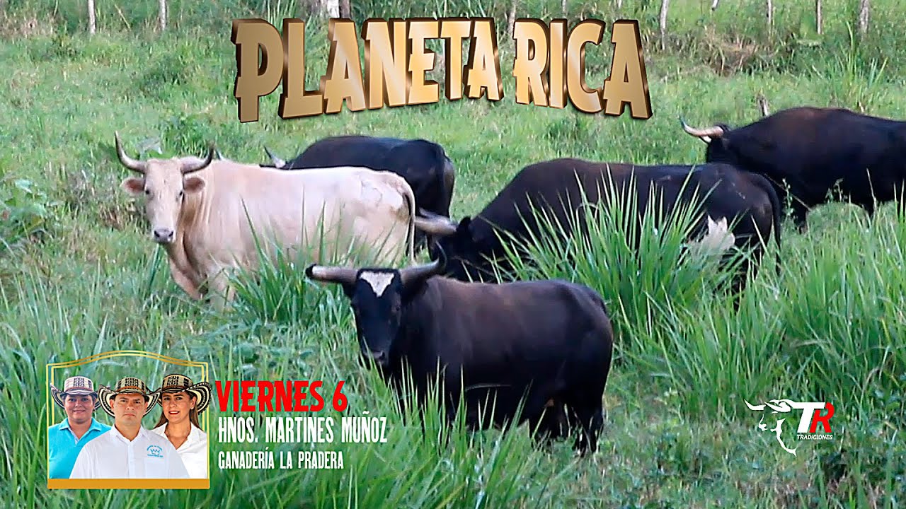 PLANETA RICA 2026 Toros de la Ganaderia la Pradera de los Hermanos Martinez Muñoz
