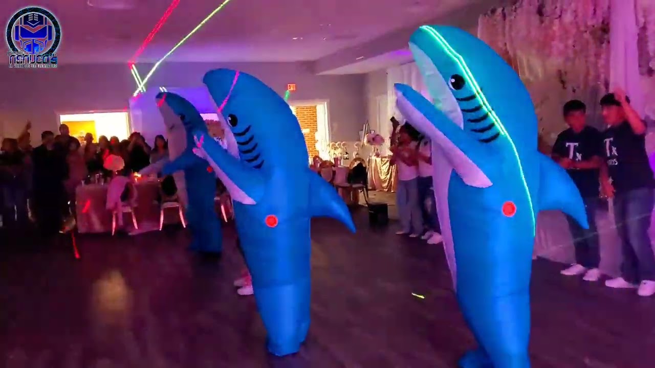 😲LES TOCO SALIR A LOS🐋 TIBURONES 🐋
