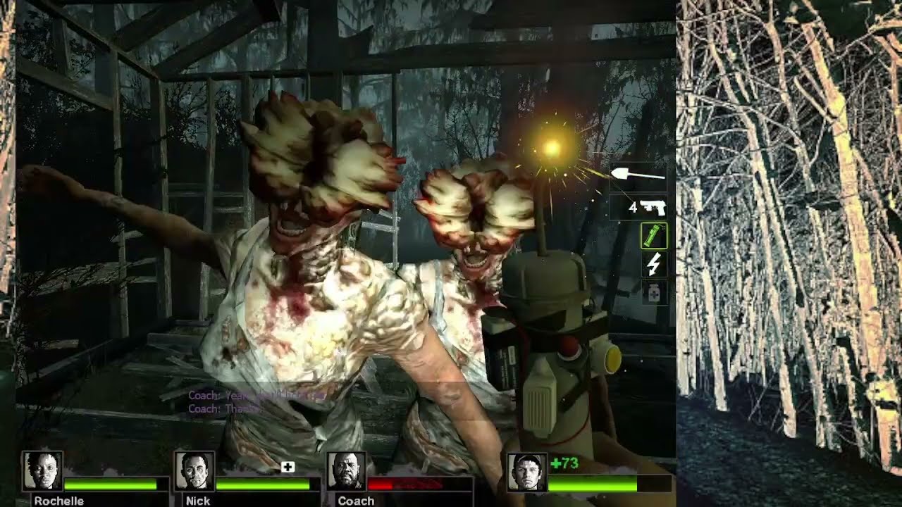 L4D2: Swamp Fungi Fever- Last of sUs & R.E.7 S.I. skins
