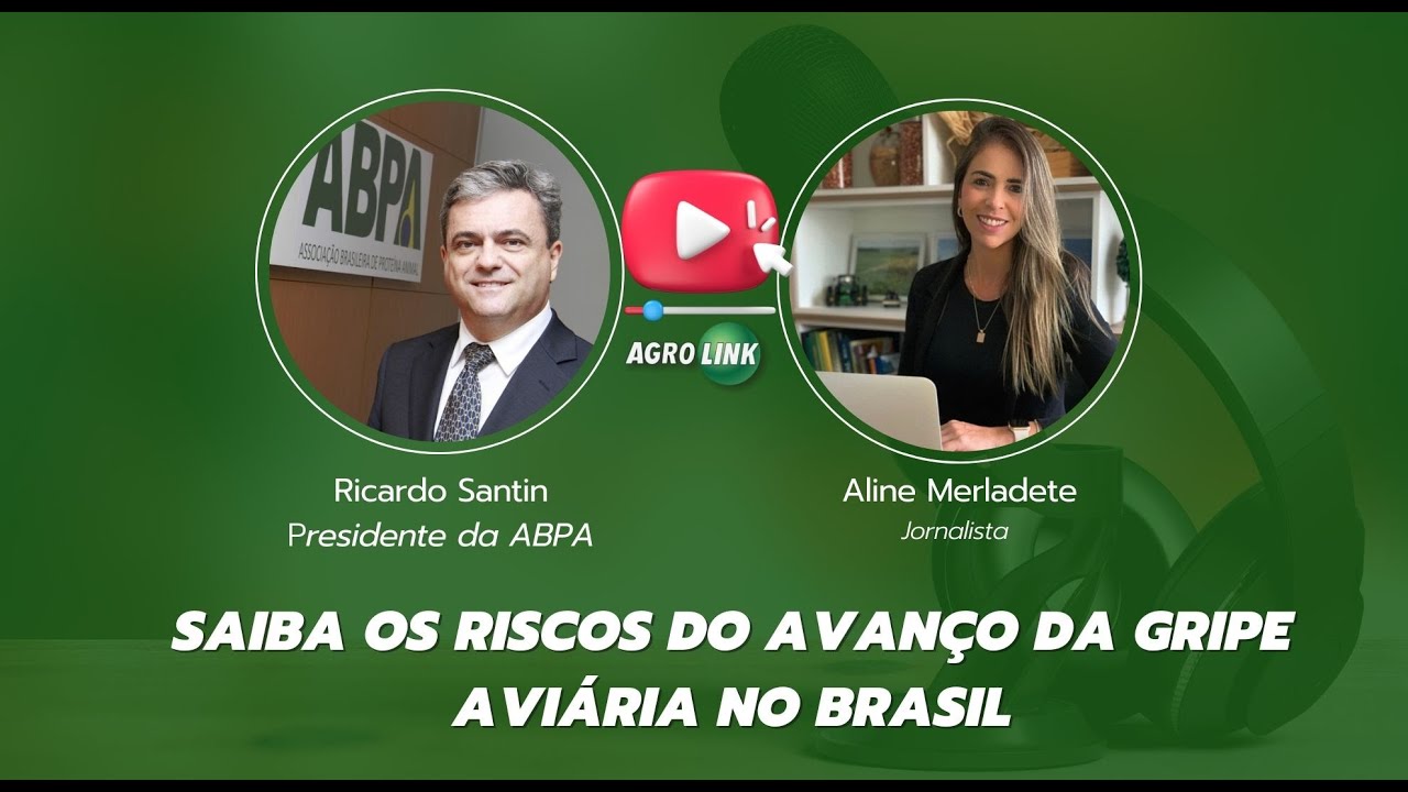 Saiba os riscos do avanço da gripe aviária no Brasil
