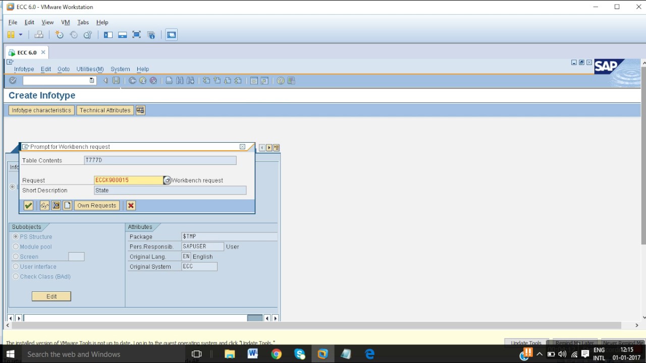 Custom Infotype