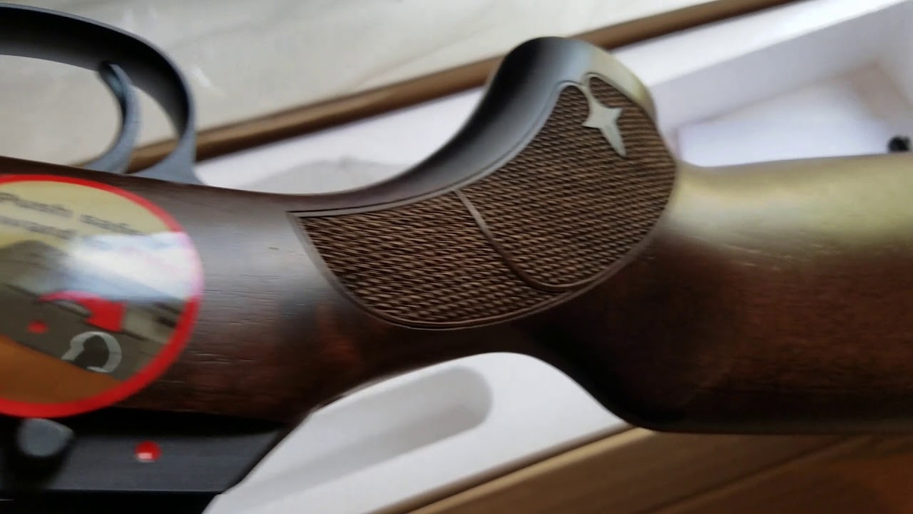CZ USA 457 American 22Lr Open Box Review