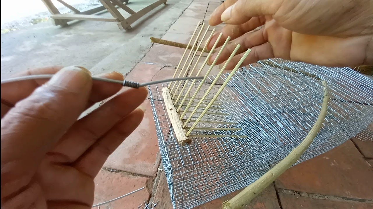 cách làm lồng tự động Bẫy chim trao trảo đơn giản 0786 952 072