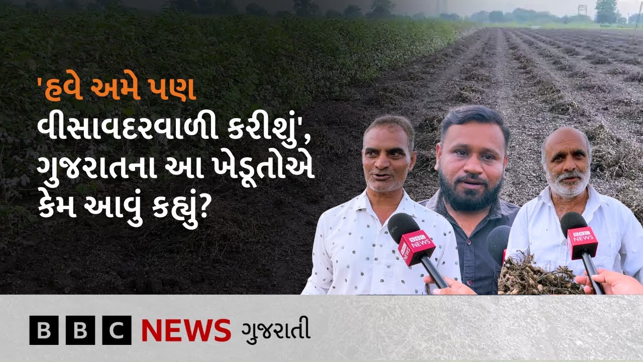 Rajkot : માવઠાને કારણે જે ખેડૂતોનો પાક સદંતર નાશ પામ્યો તેમણે શું કહ્યું?