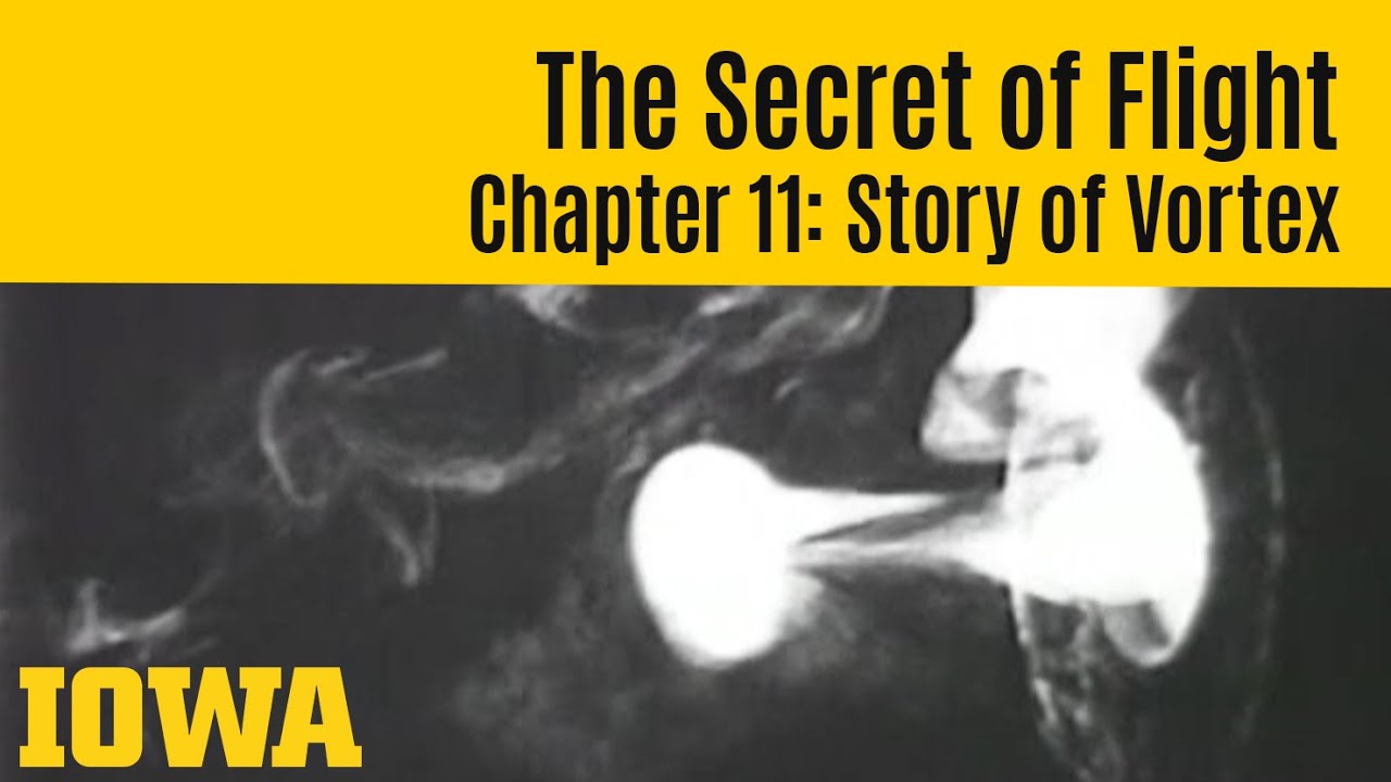 The Secret of Flight 11: Story of Vortex
