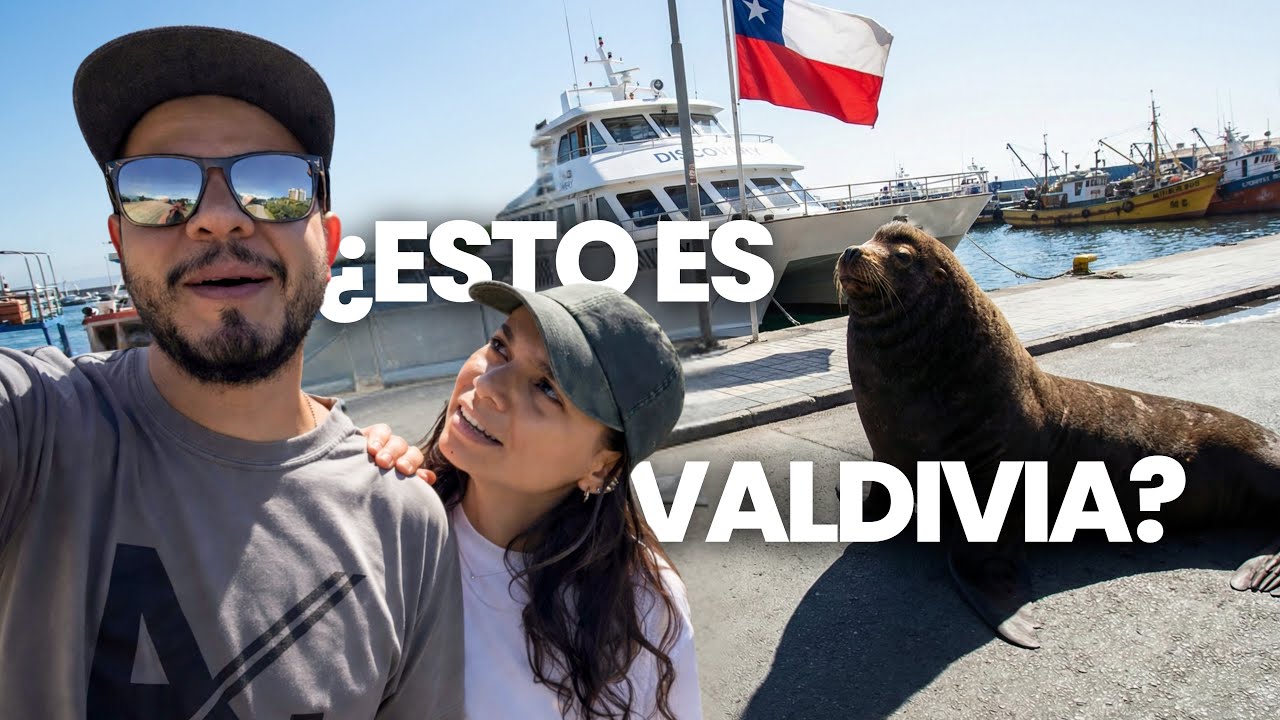 ¿LOBOS MARINOS en la calle? No esperábamos encontrar ESTO en VALDIVIA