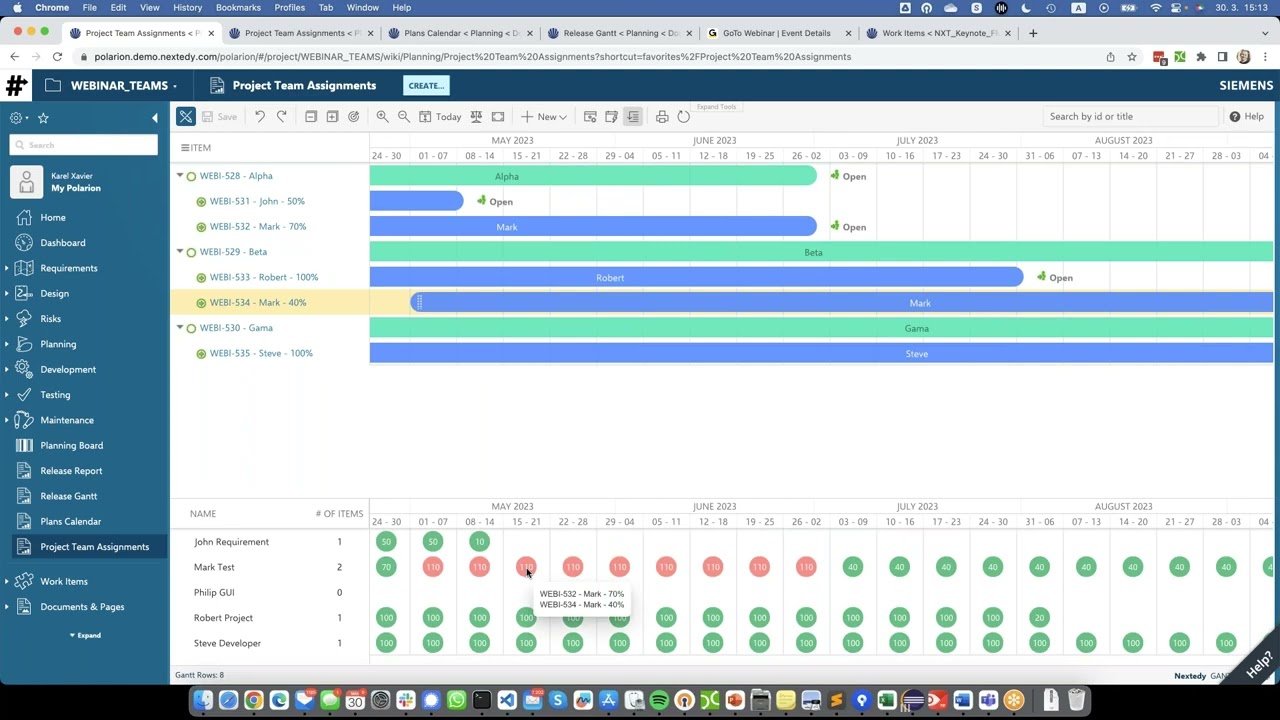 Team Capacity and Allocation Planning in Polarion with Nextedy GANTT