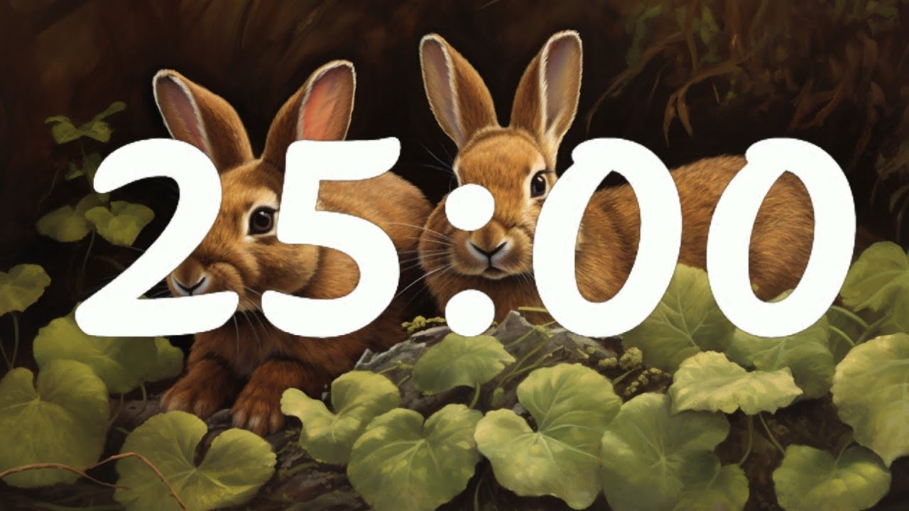 25 Minute Timer Bunnies