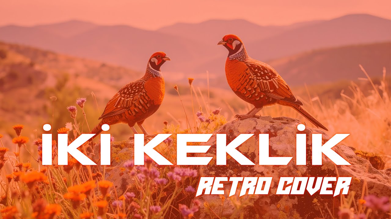 İki Keklik (Retro Cover) | Harmonic Waves Studio